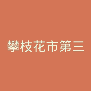 攀枝花市第三人民医院官网