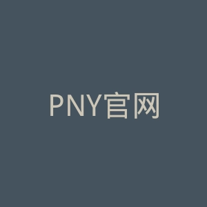 PNY官网