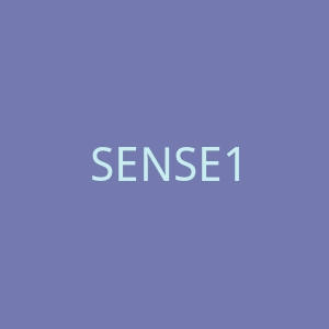 SENSE1991官网