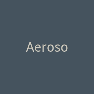 Aerosoles爱柔仕官网