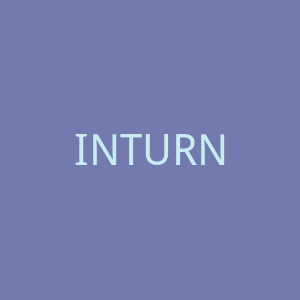 INTURN官网