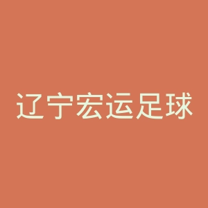 辽宁宏运足球俱乐部微博官网