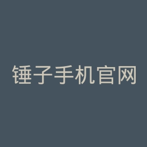 锤子手机官网