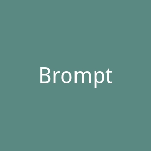 Brompton官网