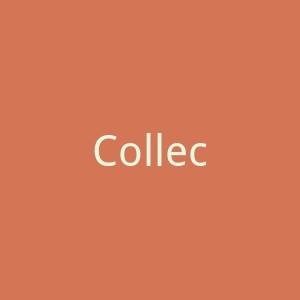 Collection of Style 官网