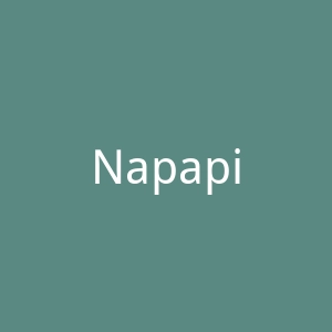 Napapijri官方网站官网