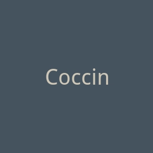 Coccinelle官方网站官网