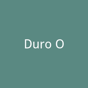 Duro Olowu官方网站官网