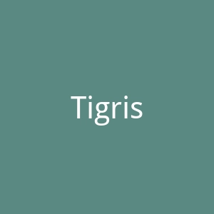 Tigrisso官网