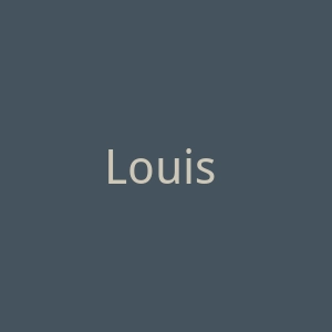 Louis Vuitton官网