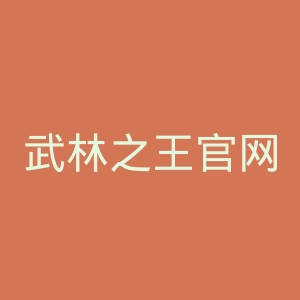 武林之王官网
