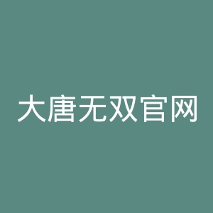 大唐无双官网