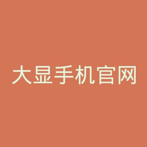 大显手机官网