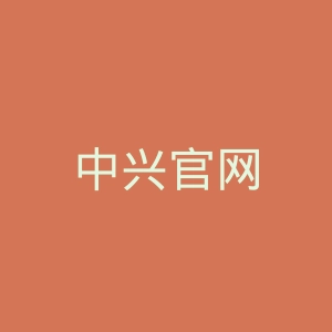 中兴官网