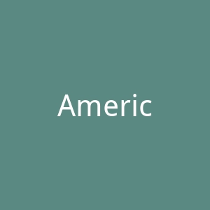 American Apparel官网