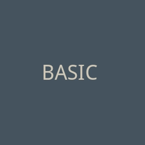 BASIC HOUSE官网