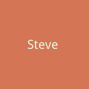 Steve Madden官网