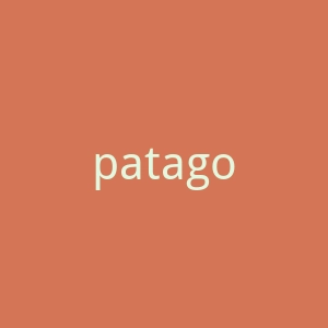 patagonia官网