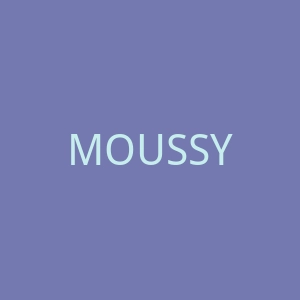 MOUSSY官网