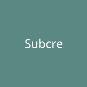 Subcrew官网