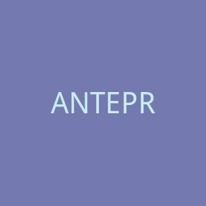 ANTEPRIMA官网