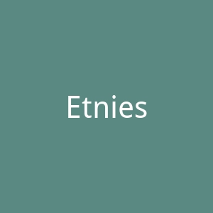 Etnies官网
