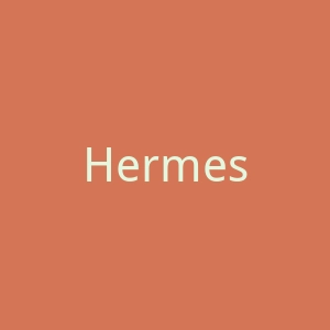 Hermes官网