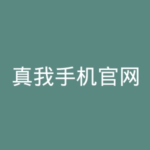 真我手机官网