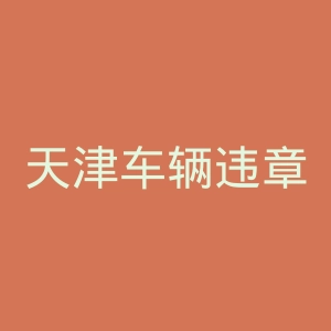 天津车辆违章查询官网