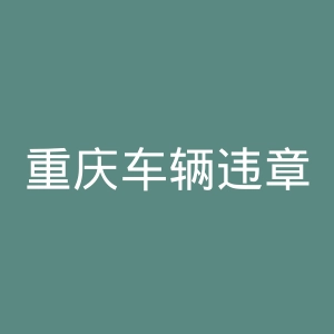 重庆车辆违章查询官网