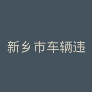 新乡市车辆违章查询官网