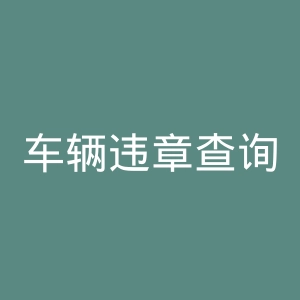 车辆违章查询官方网站官网