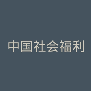 中国社会福利基金会官网