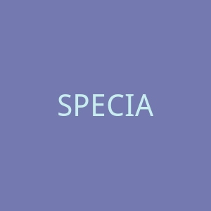 SPECIALIZED闪电自行车官网