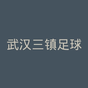 武汉三镇足球俱乐部官网