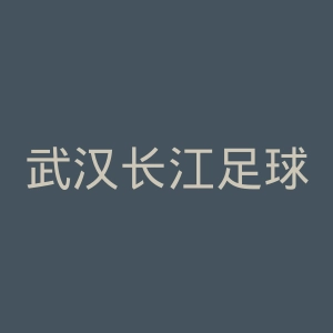 武汉长江足球俱乐部官网