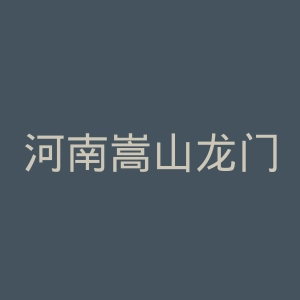 河南嵩山龙门足球俱乐部官网