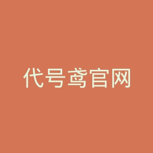 代号鸢官网