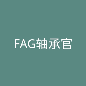 FAG轴承官网