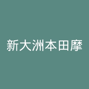 新大洲本田摩托车官方网站官网