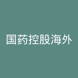 国药控股海外旗舰店官网
