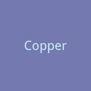Coppertone海外旗舰店官网