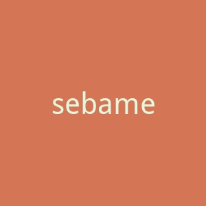 sebamed施巴旗舰店官网