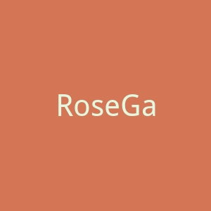 RoseGal 美国大码女装海淘网站官网