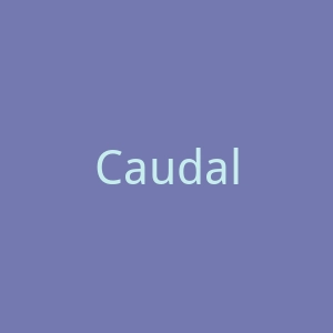 Caudalie USA法国皮肤护理品牌欧缇丽官方网站美国站官网