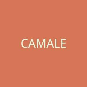 CAMALEON海外旗舰店官网