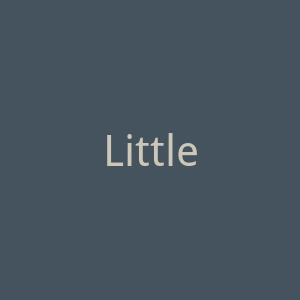 LittleButterflyLondon海外旗舰店官网