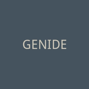 GENIDENTITY海外旗舰店官网