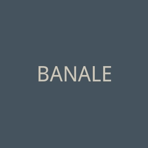 BANALE海外旗舰店官网