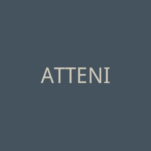 ATTENIR艾天然海外旗舰店官网
